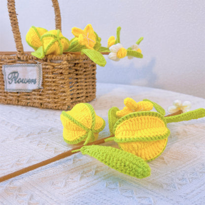 Shining Starburst : Piquet de carambole au crochet fabriqué à la main pour un décor de jardin ludique