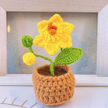 Handcrafted Crochet Supportive Pickle and Blossomed Pot Bundle Set (Custom / Personalized Text Available) - Surgery Recovery Get Well Soon Hospitalization Post Care Congrats Cute Birthday Gift