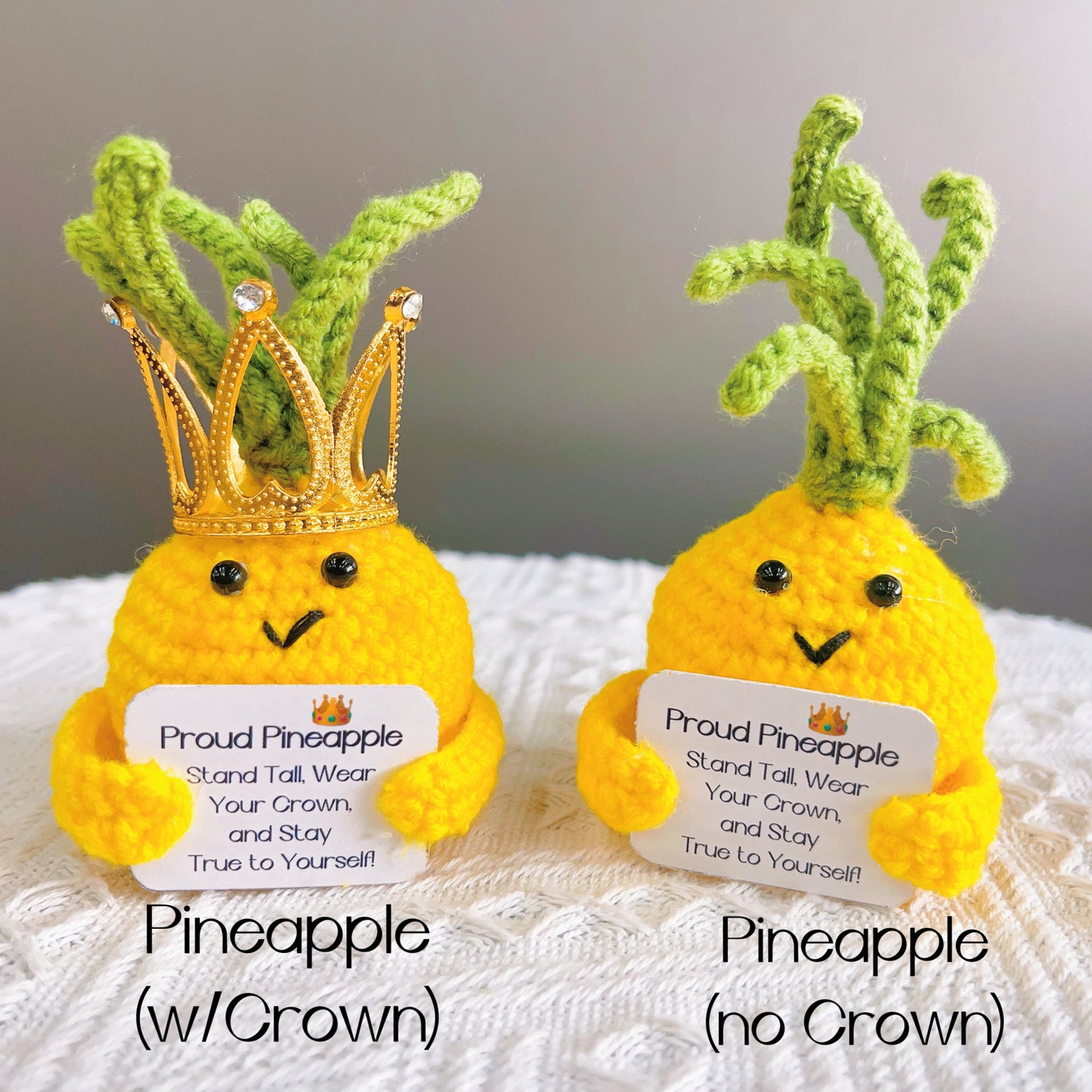 Blossom Delight Crochet Pot and Proud Pineapple Bundle Set (Custom / Personalized Text Available)