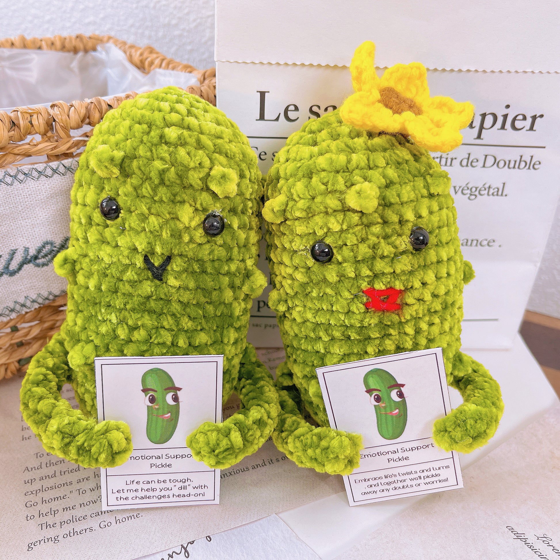 Handcrafted Crochet Supportive Pickle and Blossomed Pot Bundle Set (Cu –  The Bloom Crafter