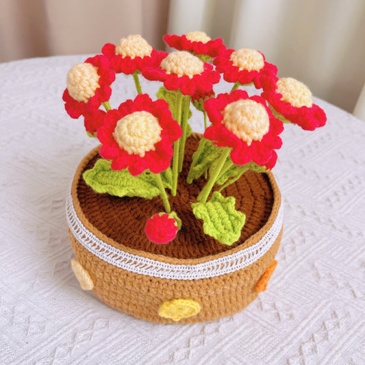 Handgefertigtes großes Blumentopf-Arrangement mit 8 roten Gänseblümchen als Innendekoration und zum Verschenken