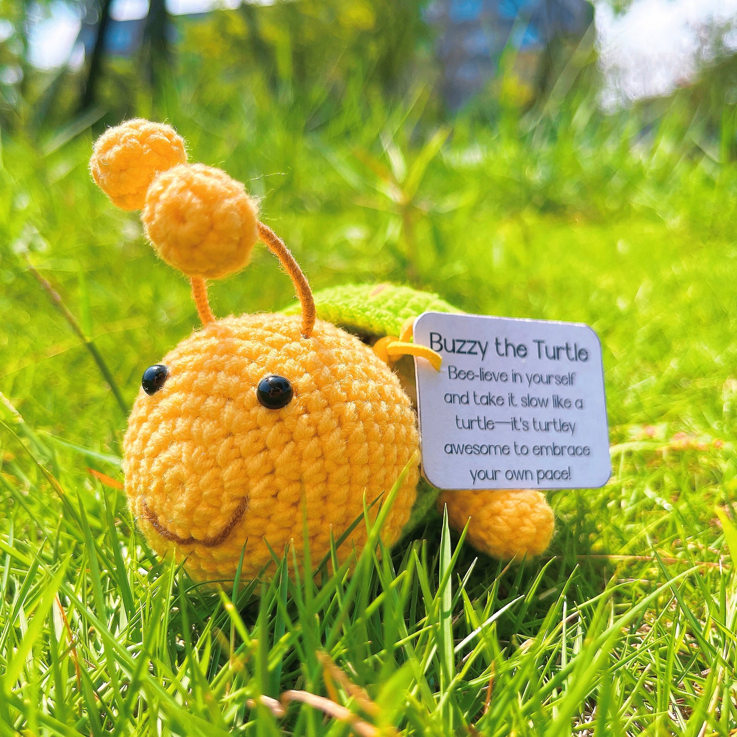 Buzzy die Schildkröte – handgefertigter Schildkrötenpanzer, Buzzy-Bienen-Dekor – motivierendes Geschenk für die beste Freundin, inspirierendes Wohndekor, einzigartiges Geschenk mit Naturmotiv