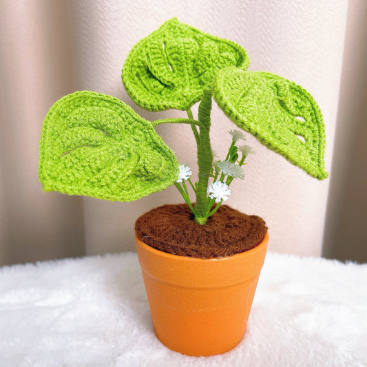 Jardinière en bambou à crête en crochet fabriquée à la main - 3 Monstera deliciosa vertes + accents étoilés blancs - Cadeau parfait pour les personnes allergiques