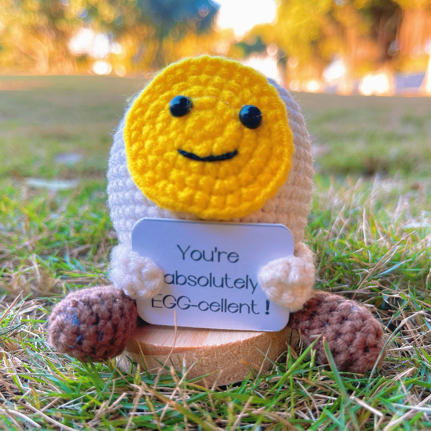 Custom Text Positive Crochet Egg - Handmade Cute Boiled Egg Figurine with Arms and Legs, "You're Absolutely EGG-cellent!" Card, Perfect Gift for Easter, Birthdays, Inspiring Uplifting Excellent Home Decor, and Special Occasions