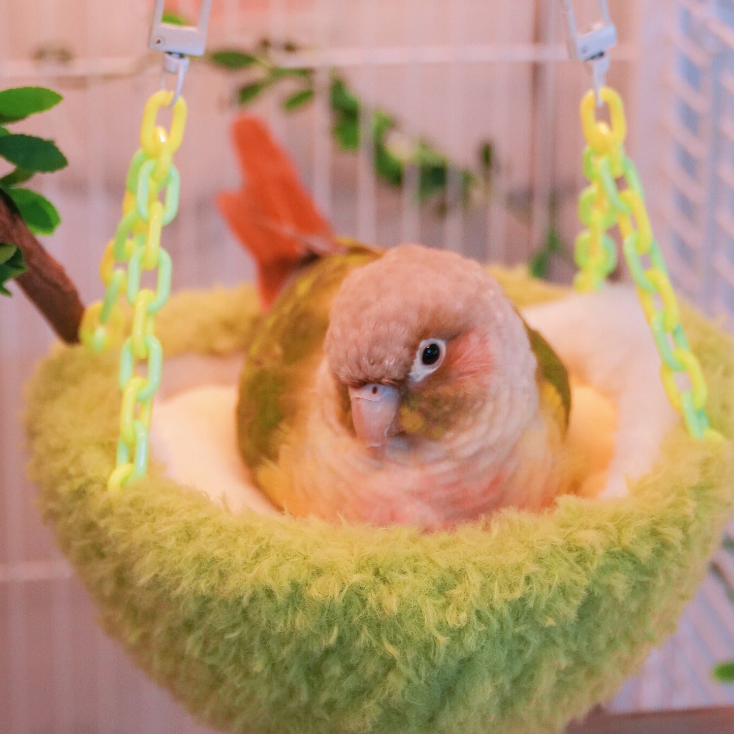 Nid de perroquet vert-jaune fabriqué en durian avec crochets et chaînes en plastique, nichoir suspendu pour cage, rempli de coton en forme de demi-lune, endroit de couchage confortable pour oiseaux de compagnie