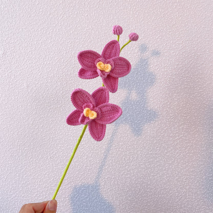 Pieu d’orchidée Phalaenopsis fait à la main pour la décoration de la maison et le support des plantes - Artisanat de fil au crochet, décoration intérieure, cadeaux uniques, bouquet au crochet