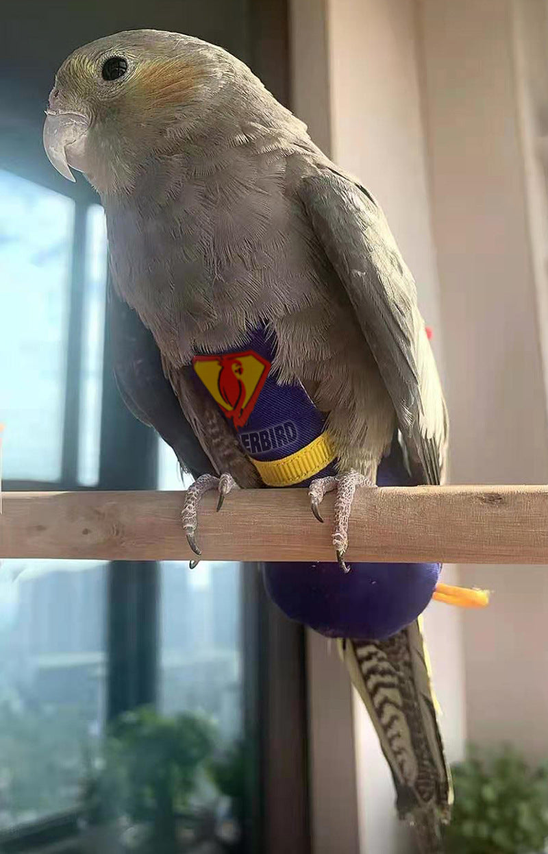 Superhero Parrot Diapers and Clothes - Bird Nappies for Small Pets - Available in 3 Sizes - Ideal for Parrots, Budgies, and Cockatiels