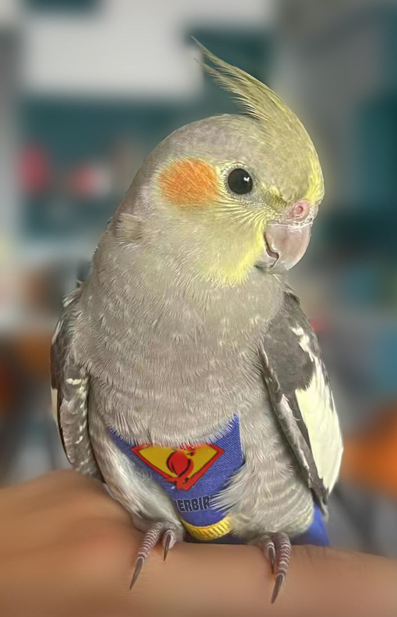 Superhero Parrot Diapers and Clothes - Bird Nappies for Small Pets - Available in 3 Sizes - Ideal for Parrots, Budgies, and Cockatiels