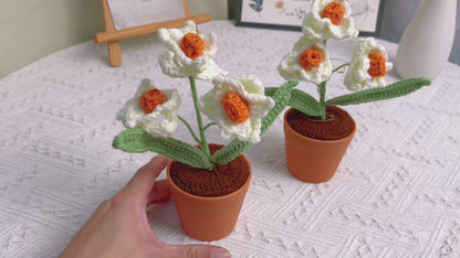 Potted Narcissus - Indoor Plant for Home or Office, handmade, crochet, bedroom, eternal flower, gifts for her, night light