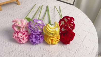 Bouquet d’œillets du mois de naissance de janvier - Célébration de fleurs d’anniversaire Bouquet à tige unique crocheté à la main