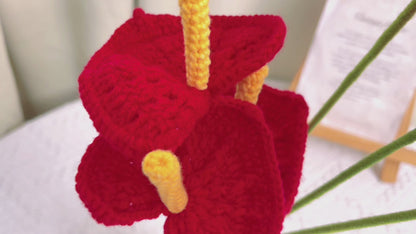 Handgefertigte gehäkelte rote Anthurie: Ein Symbol für Wohlstand und Freude